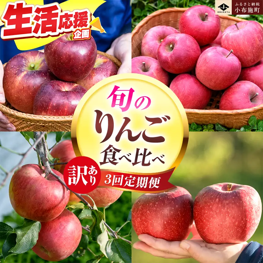 【訳あり】【3回定期便】旬のりんご 訳あり約3kg 食べ比べ 秋映 シナノスイート シナノホッペ サンふじ ［おぶせファーマーズ］ 不揃い 規格外 家庭用 果物 フルーツ りんご 林檎 リンゴ 長野県産 信州産 令和8年産 【2026年9月末～11月下旬】