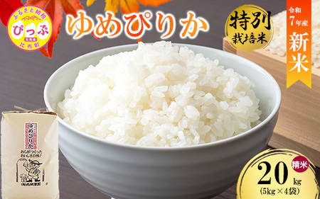 【先行予約】【西間農園】特別栽培米 ゆめぴりか 精米 20kg【12月から1月上旬発送】JGAP認証農場 米 お米 北海道米 特Aランク 国産 コメ 北海道 比布町 1005-043