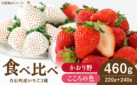 先行予約 2027年1月〜発送  こころの色×かおり野 紅白いちごセット 計460g / いちご [IBJ024]