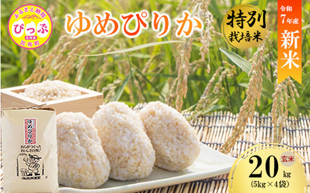 【先行予約】【西間農園】特別栽培米 みがき玄米 ゆめぴりか 20kg【12月から1月上旬発送】JGAP認証農場 米 お米 北海道米 特Aランク 国産 コメ 北海道 比布町 1005-053