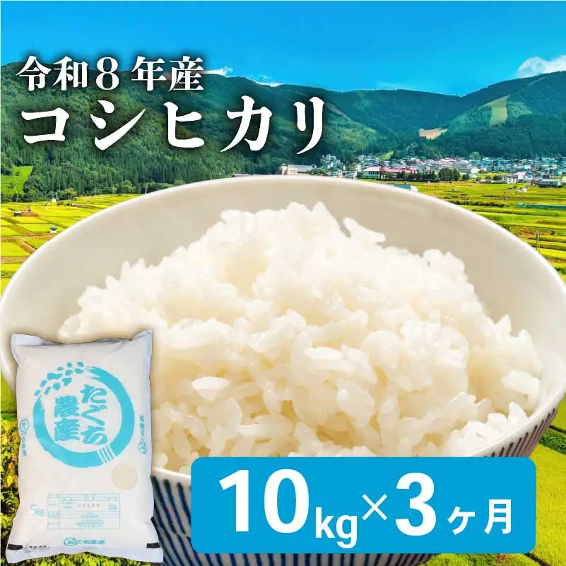 令和8年産 新米 こしひかり 10kg 3回定期便 新米