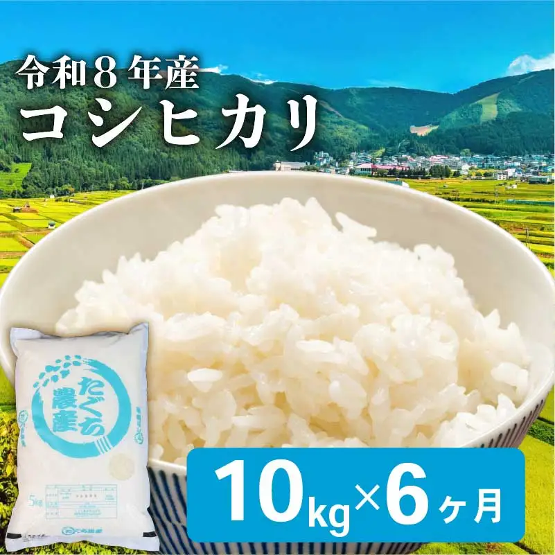令和8年産 新米 こしひかり 10kg 6回定期便 新米