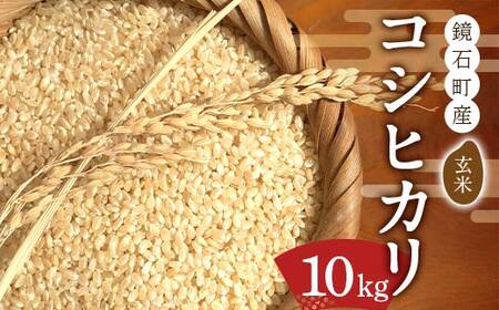 令和7年産 鏡石町産コシヒカリ玄米 10kg 米 コメ こめ F6Q-490