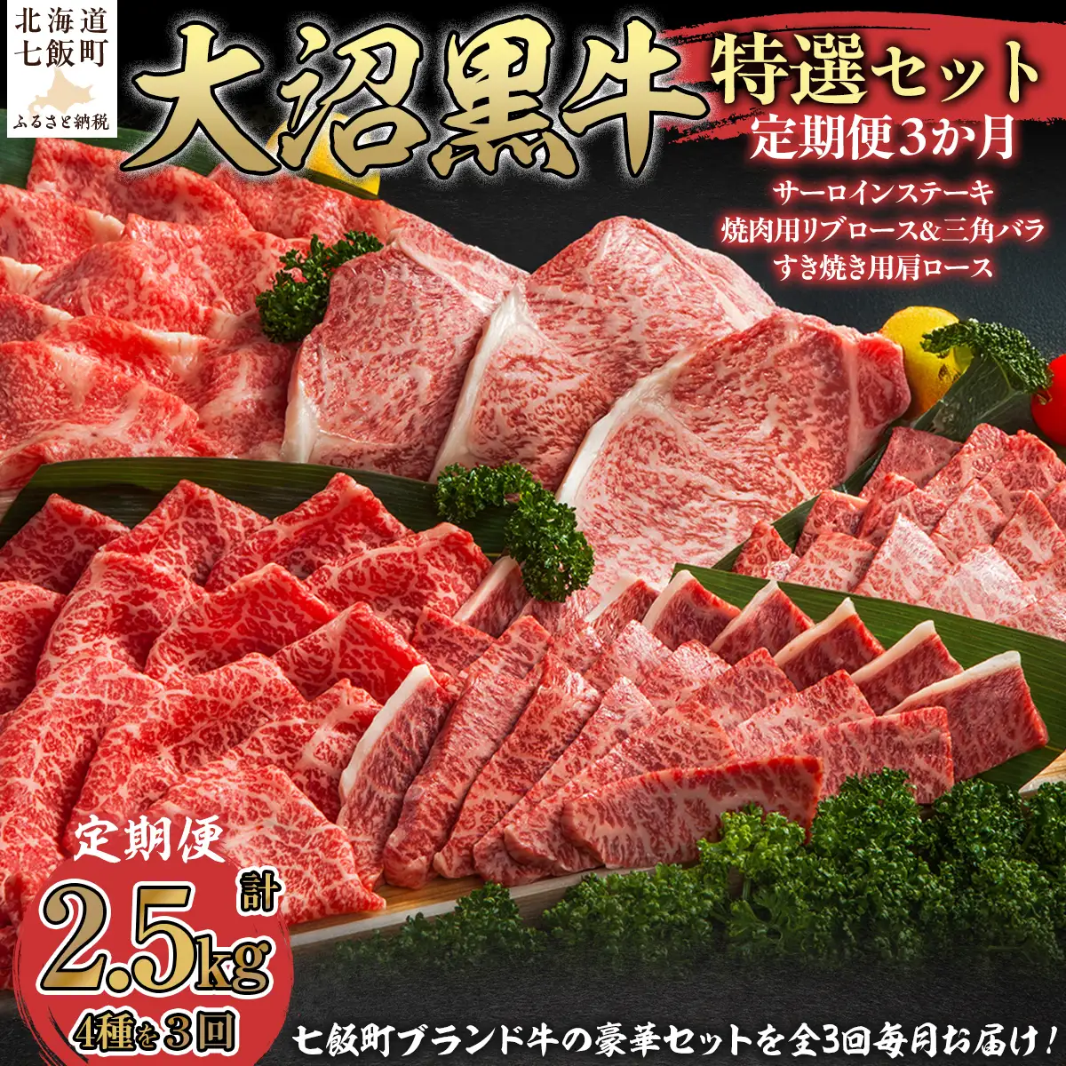 【北海道ブランド牛】大沼黒牛の特選セット 定期便3ヶ月 NAM059