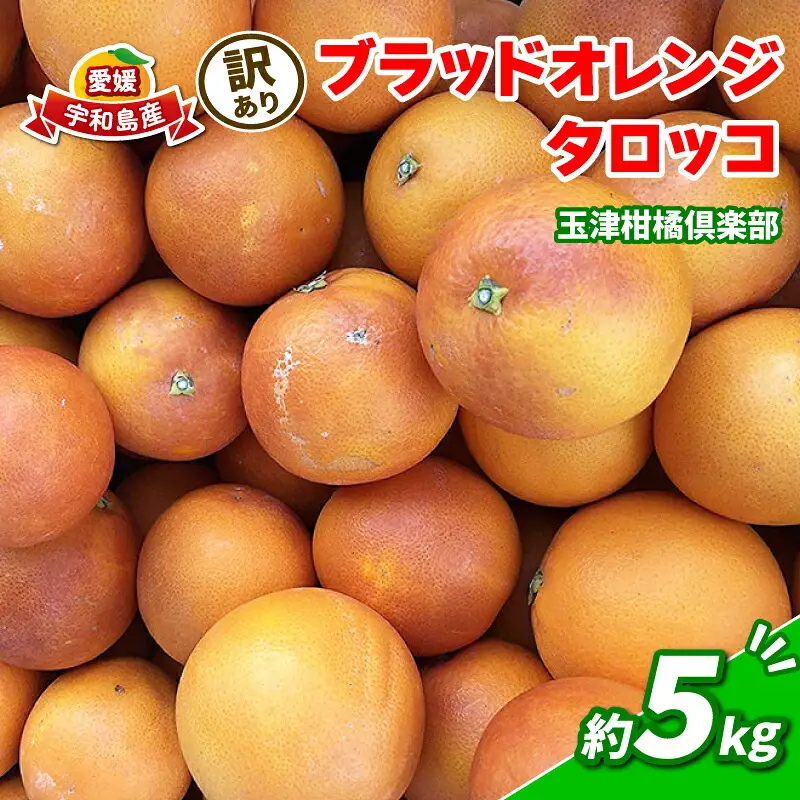 訳あり ブラッドオレンジ タロッコ 約5kg 玉津柑橘倶楽部 オレンジ B010-072047