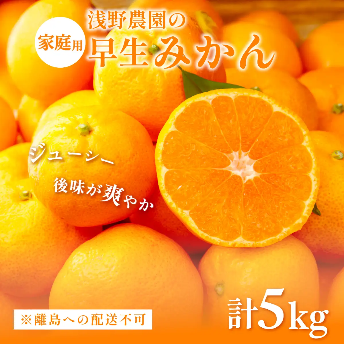 【先行予約】浅野農園の早生みかん 家庭用計5kg ※着日指定不可 ※離島への配送不可（2026年11月上旬～11月中旬頃に順次発送予定） IKTAC002