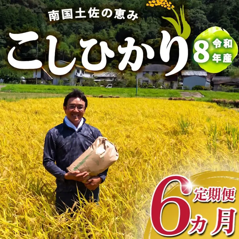 R8 新米 コシヒカリ 5kg 定期便 6ヶ月 8月下旬から発送 新米 産地直送 高知県産 高知県 須崎市 SI005