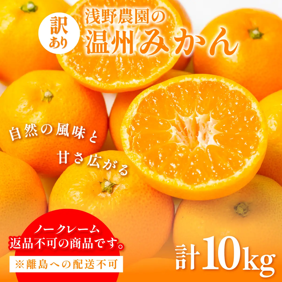 【先行予約】浅野農園の温州みかん 訳あり計10kg ※離島への配送不可（2026年12月上旬～12月中旬頃に順次発送予定） IKTAC005