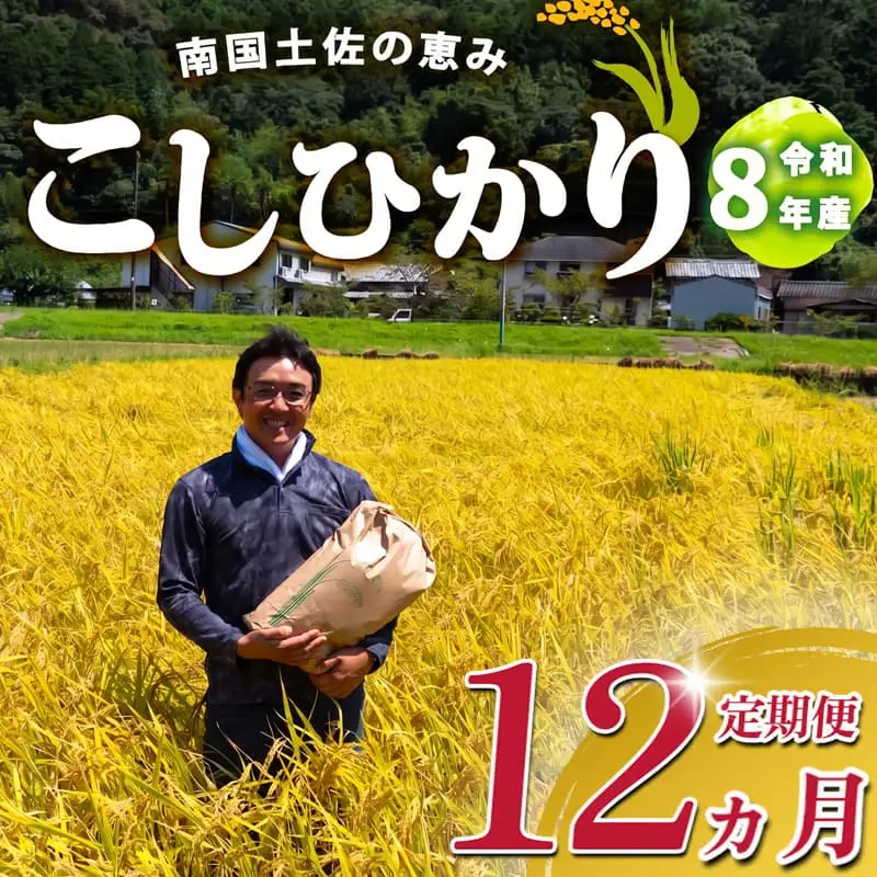 R8 新米 コシヒカリ 5kg 定期便 12ヶ月 8月下旬から発送 新米 産地直送 高知県産 高知県 須崎市 SI006