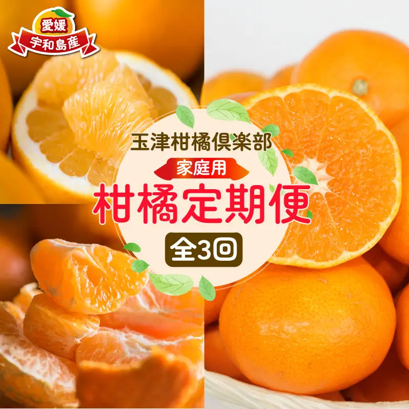 【みかん定期便】みかん定期便3回玉津柑橘倶楽部B030-072048