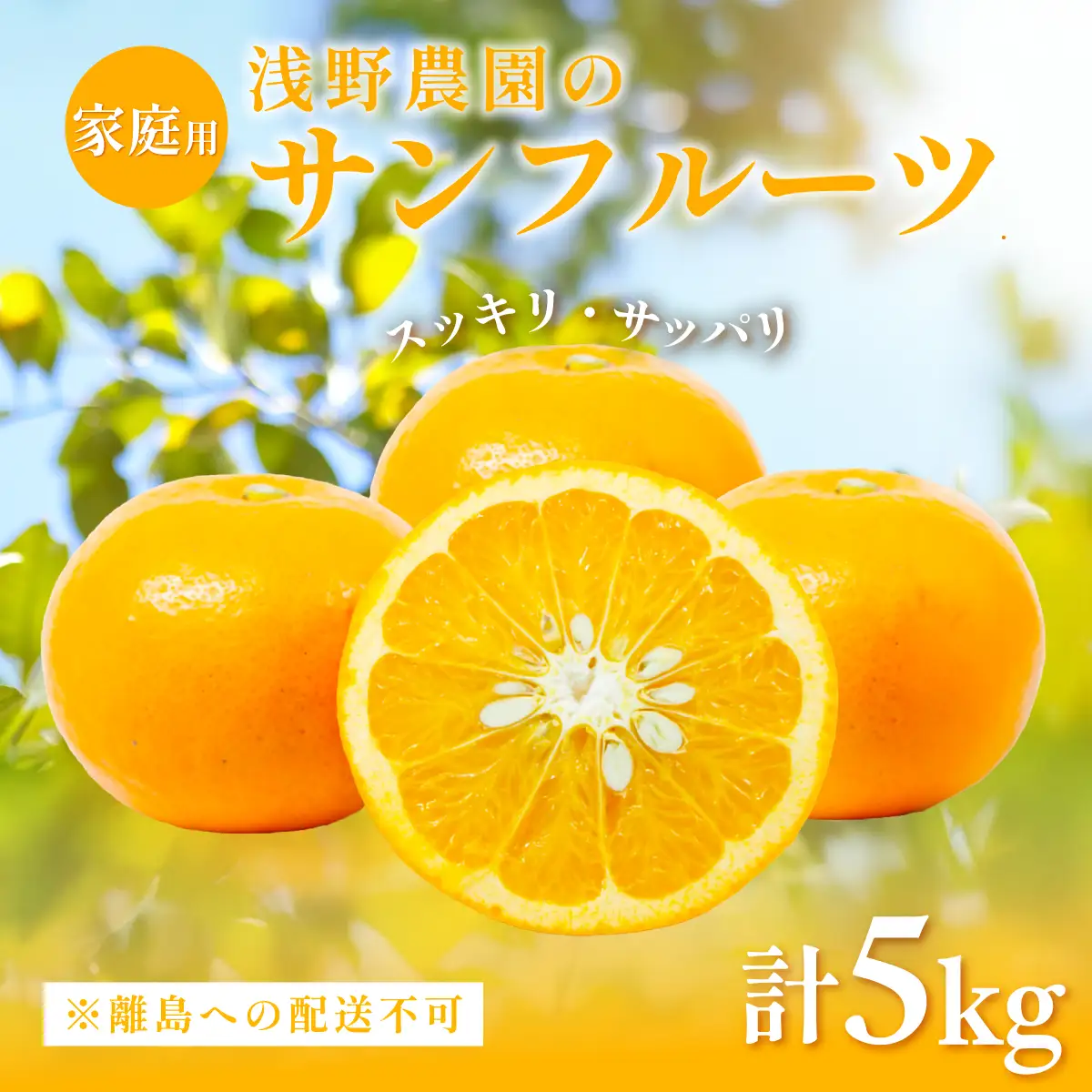 【先行予約】【家庭用】浅野農園のサンフルーツ計5kg ※離島への配送不可（2027年3月中旬頃より順次発送予定） IKTAC010