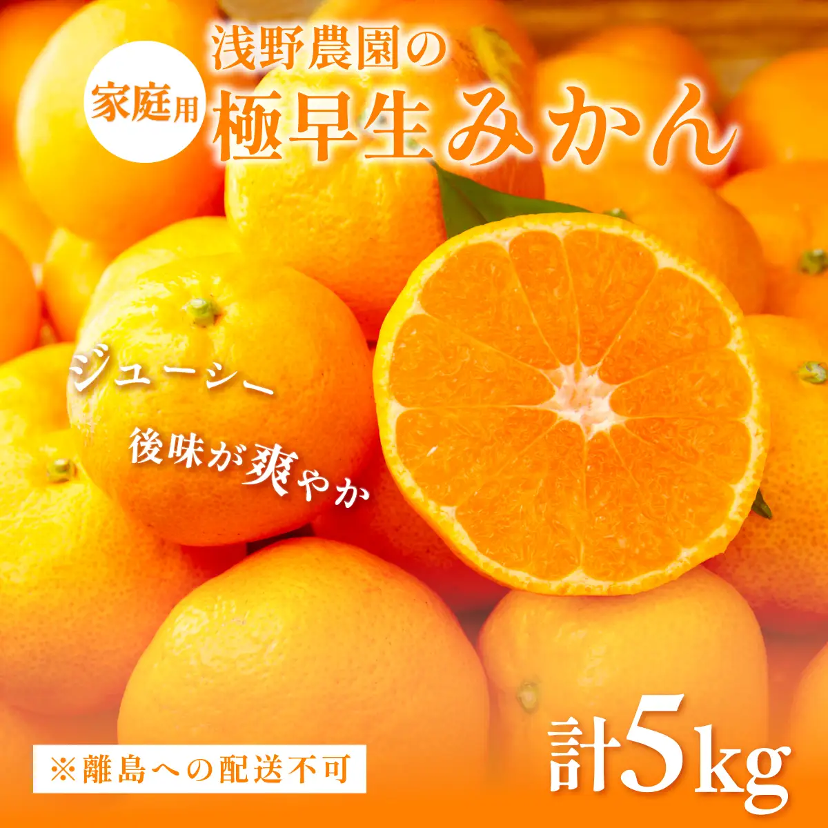 【先行予約】浅野農園の極早生みかん 家庭用5kg ※離島への配送不可（2026年10月上旬～11月中旬頃より順次発送予定） IKTAC012