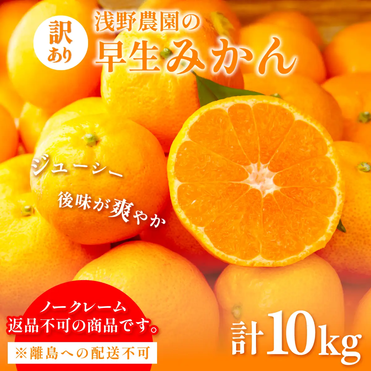 【先行予約】浅野農園の早生みかん 訳あり計10kg ※離島への配送不可（2026年11月上旬～11月中旬頃に順次発送予定）  IKTAC013
