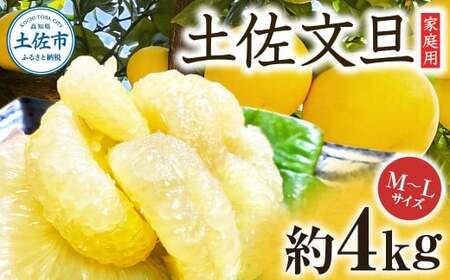 【先行予約】楠瀬さんの土佐文旦 家庭用 約4kg M?Lサイズ 9?13玉〈2027年2月15日?2027年4月5日発送〉 / ぶんたん ブンタン 文旦 フルーツ 柑橘 みかん 果物 くだもの 柑橘類 デザート お取り寄せ 国産 常温 配送【まる庄果樹園】[BQAF019]