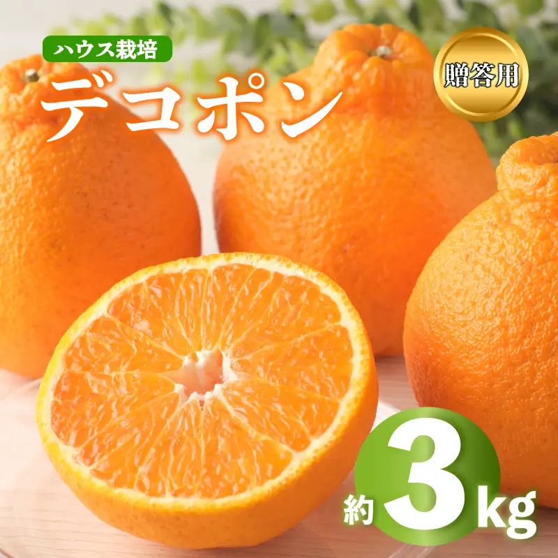 デコポン 不知火 約3kg 2027年 先行予約  秀品 化粧箱入り デコポン デコポン デコポン