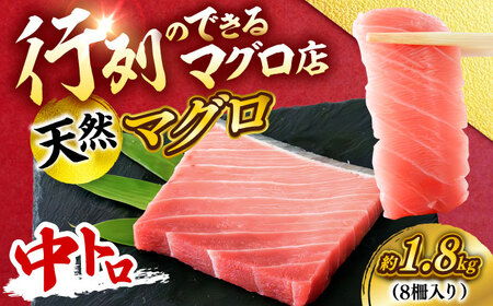 天然 まぐろ 中トロ メバチ 計約1.8kg (8柵入り)  【横須賀商工会議所 おもてなしギフト事務局（本まぐろ直売所 横須賀本店）】[AKAK096]