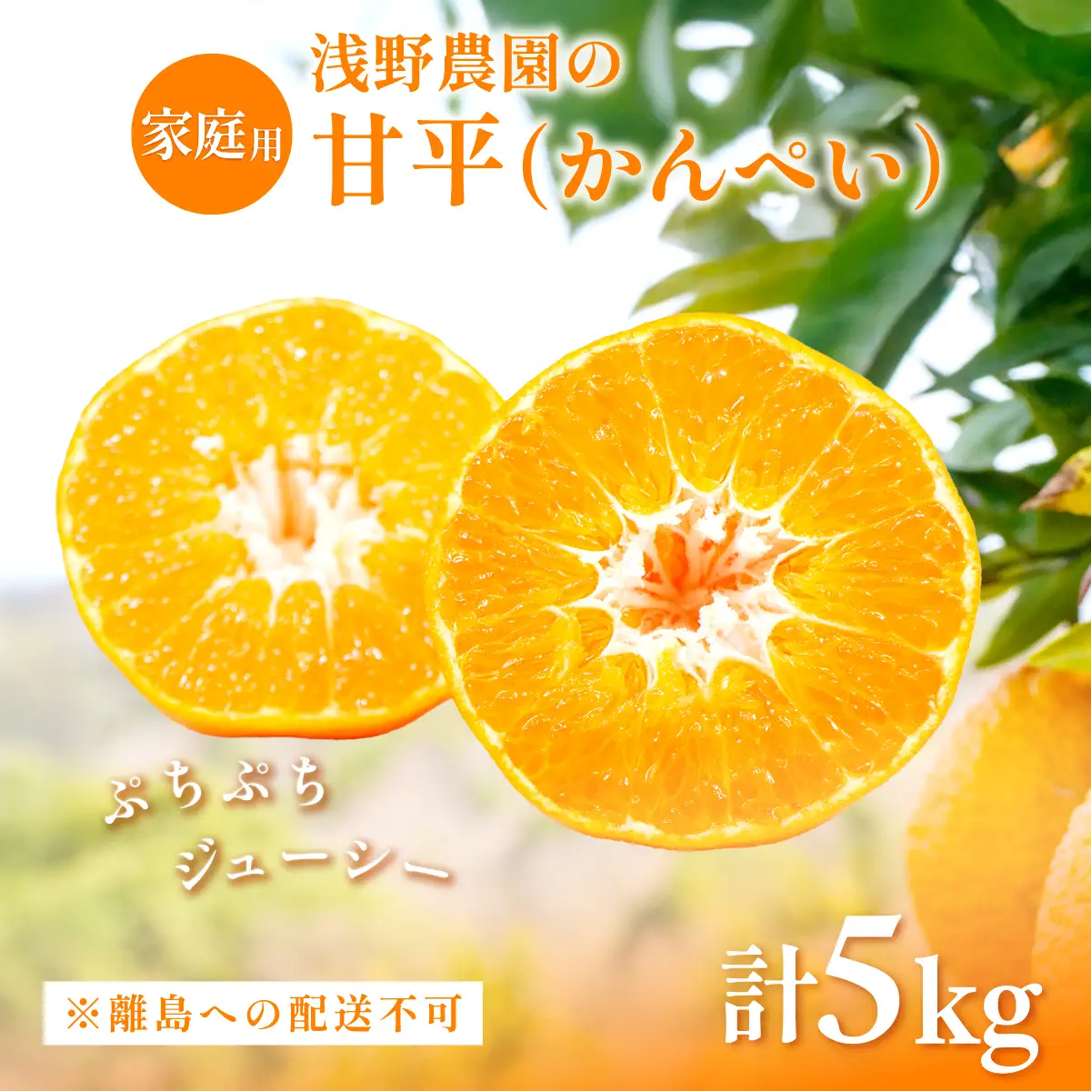 【先行予約】【数量限定】【家庭用】浅野農園の甘平（かんぺい）計5kg ※離島への配送不可（2027年2月中旬頃より順次発送予定） IKTAC027