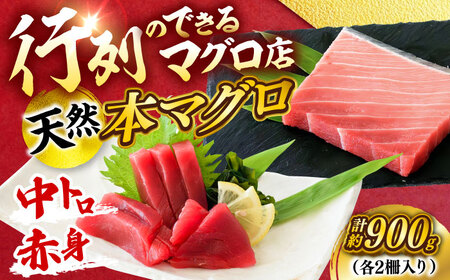 天然 本まぐろ 中トロ＆赤身 各2柵（計約900g）  【横須賀商工会議所 おもてなしギフト事務局（本まぐろ直売所 横須賀本店）】[AKAK107]