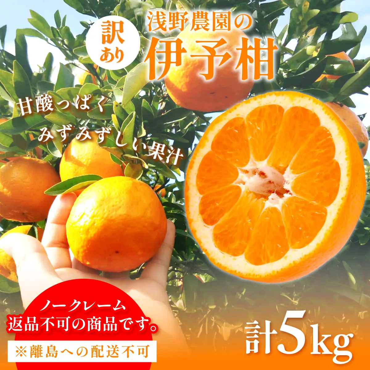 【先行予約】【訳あり】伊予柑計5kg ※離島への配送不可（2027年2月上旬頃より順次発送予定 ） IKTAC034