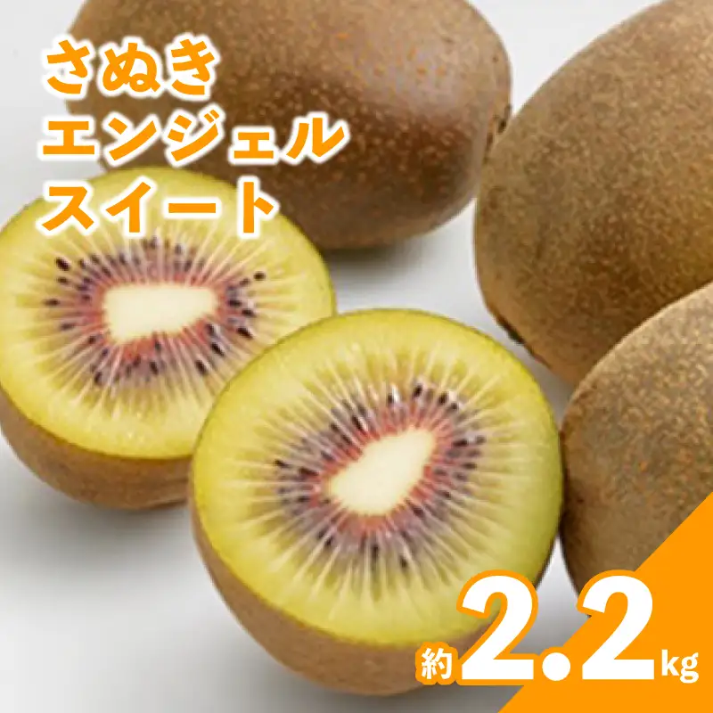さぬきエンジェルスイート キウイ 約2.2kg 先行予約 キウイ