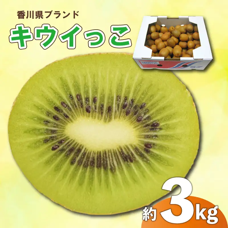 さぬきキウイっこ 約3kg 先行予約  サイズ混合 キウイ