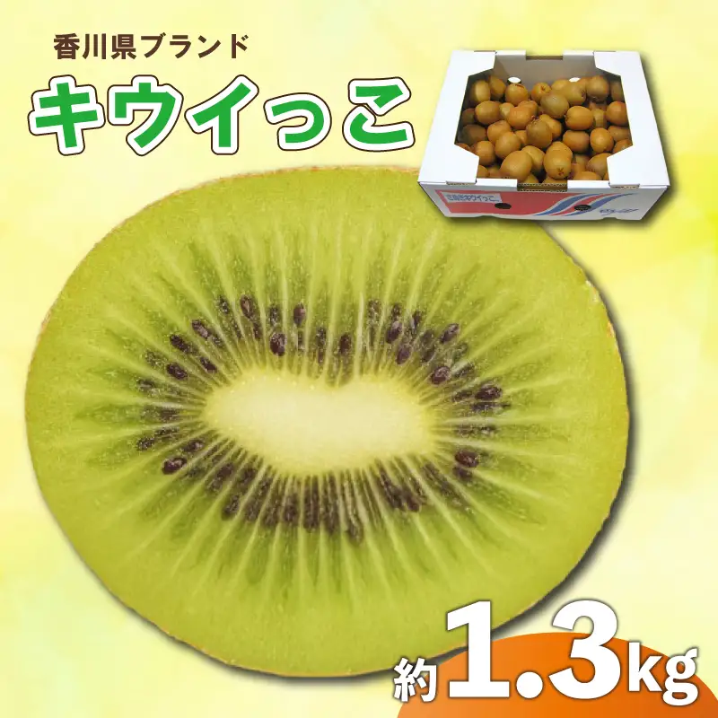 さぬきキウイっこ 約1.3kg 先行予約 サイズ混合 キウイ