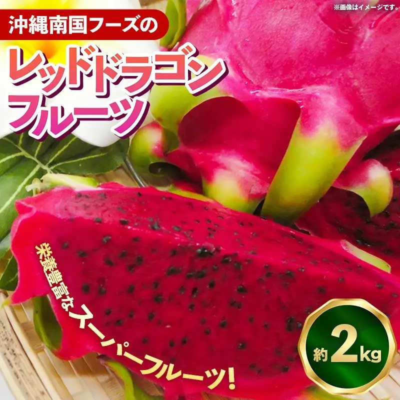 【2026年発送】南国フーズのドラゴンフルーツ 【レッドドラゴンフルーツ】 約2kg - 赤 果肉 レッド ピタヤ スーパーフルーツ 先行受付 先行予約 人気 抗酸化作用 ベタシアニン おすすめ 国産 沖縄県 八重瀬町