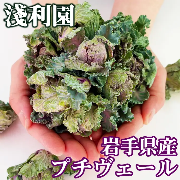 【 先行予約 2026年 12月中旬 発送】 岩手県産 プチヴェール 600g 【淺利園】