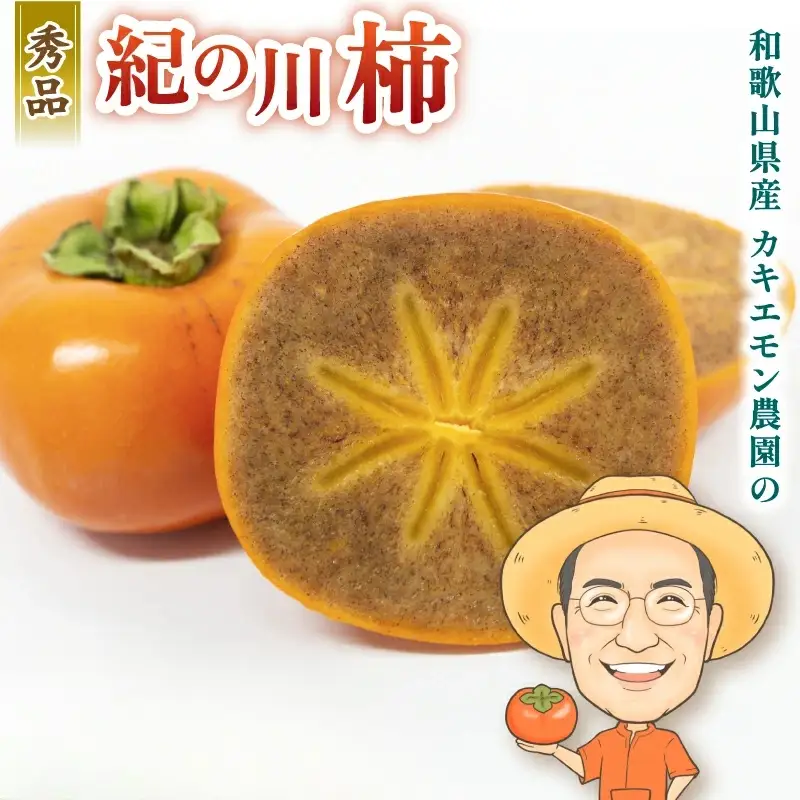 柿 紀の川柿 約2kg 【BX-kkem005A】