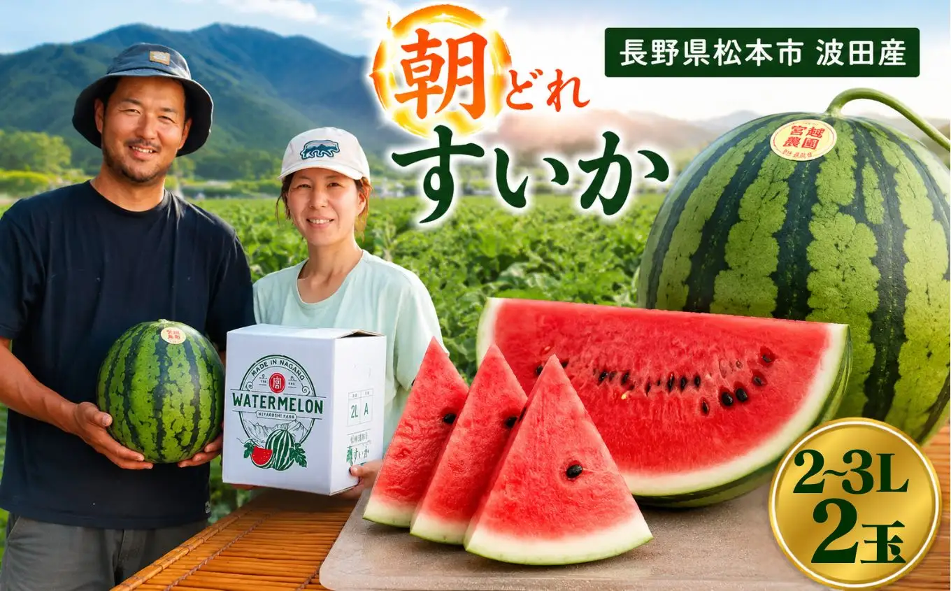 松本市 波田産 すいか 2L～3L × 2玉入り