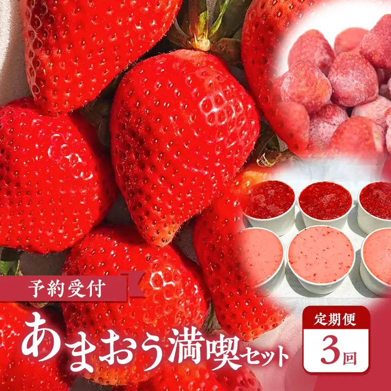 【2027年3月上旬より発送開始】【予約受付・3回定期便】あまおう満喫セット ※配送不可：北海道・沖縄県・離島