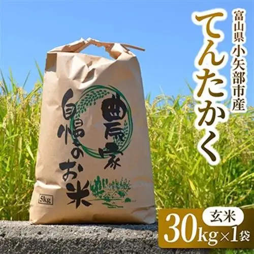 【2026年9月下旬頃から順次発送】令和8年産米「てんたかく」(玄米)30kg×1袋【1655811】