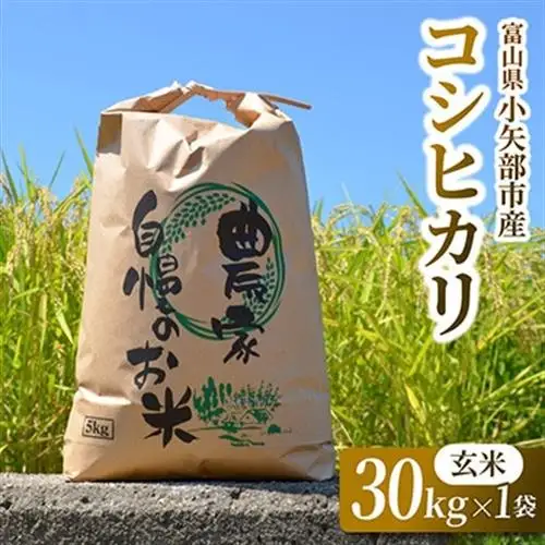 【新米先行受付 2026年10月上旬～順次発送】令和8年富山県産「コシヒカリ」(玄米)30kg×1袋【1656063】