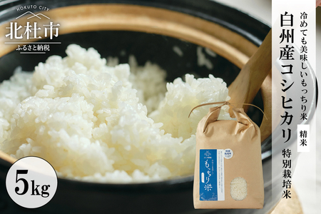 【先行予約】【令和8年度新米】白州産コシヒカリ 特別栽培米 5kg [h059]