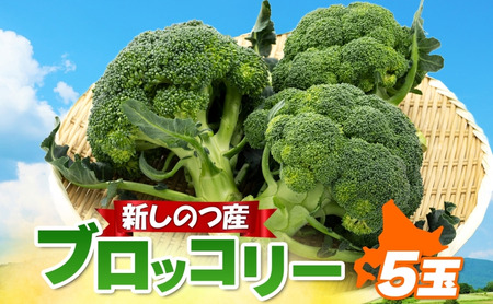 北海道 新しのつ産 ブロッコリー5玉  冷蔵 野菜 旬 食感 茹でる レンジ サラダ 炒め物 オーブン焼き おかず お弁当 甘い お取り寄せ 国産 農作物 JA 新篠津村 