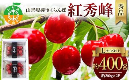 令和9年産【先行受付】山形県産さくらんぼ＜紅秀峰＞秀品 約400g(約200g×2P) Lサイズ以上 期間限定 数量限定 山形県産 サクランボ フルーツ 果物 くだもの 贈答 F4A-0961