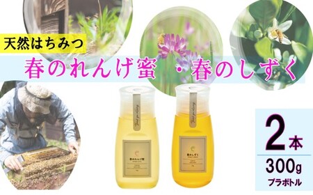 春のれんげ蜜・春のしずく2本セット 合計600g（300g×各1本） れんげ蜜 百花蜜 鹿児島 はちみつ 蜂蜜 AS-8110