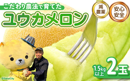 ユウカメロン 2玉 (1玉あたり：1.5kg以上)【2027年6月中旬以降発送】メロン フルーツ [A-21220]