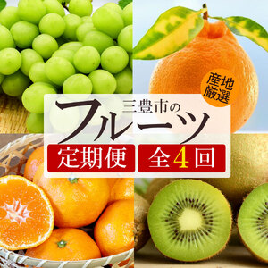 【4回定期便】シャインマスカット入り 旬のフルーツ定期便2(温州みかん早生)