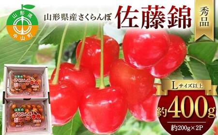 令和9年産【先行受付】山形県産さくらんぼ＜佐藤錦＞秀品 約400g(200g×2P) Lサイズ以上 期間限定 数量限定 山形県産 サクランボ フルーツ 果物 くだもの 贈答 F4A-0963