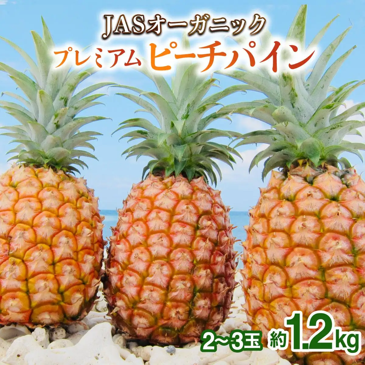 プレミアムピーチパイン 約1.2kg 