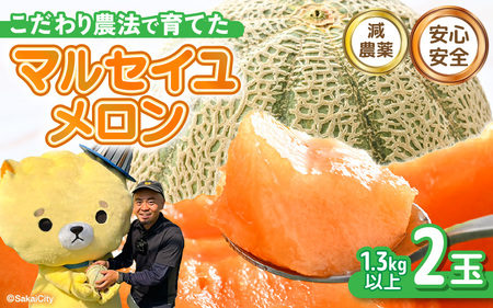 マルセイユメロン 2玉 (1玉あたり：1.3kg以上)【2027年6月中旬以降発送】 [A-21218]