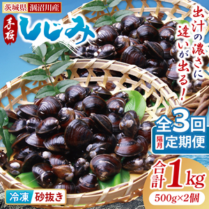 【全３回隔月定期便】茨城県涸沼川産 だしの濃さに違いが出る！手掘しじみ（砂抜き）500g×2個（1kg）（MS-9）