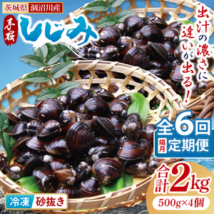 【全6回隔月定期便】茨城県涸沼川産 だしの濃さに違いが出る！手掘しじみ（砂抜き）500g×4個（2kg）（MS-12）