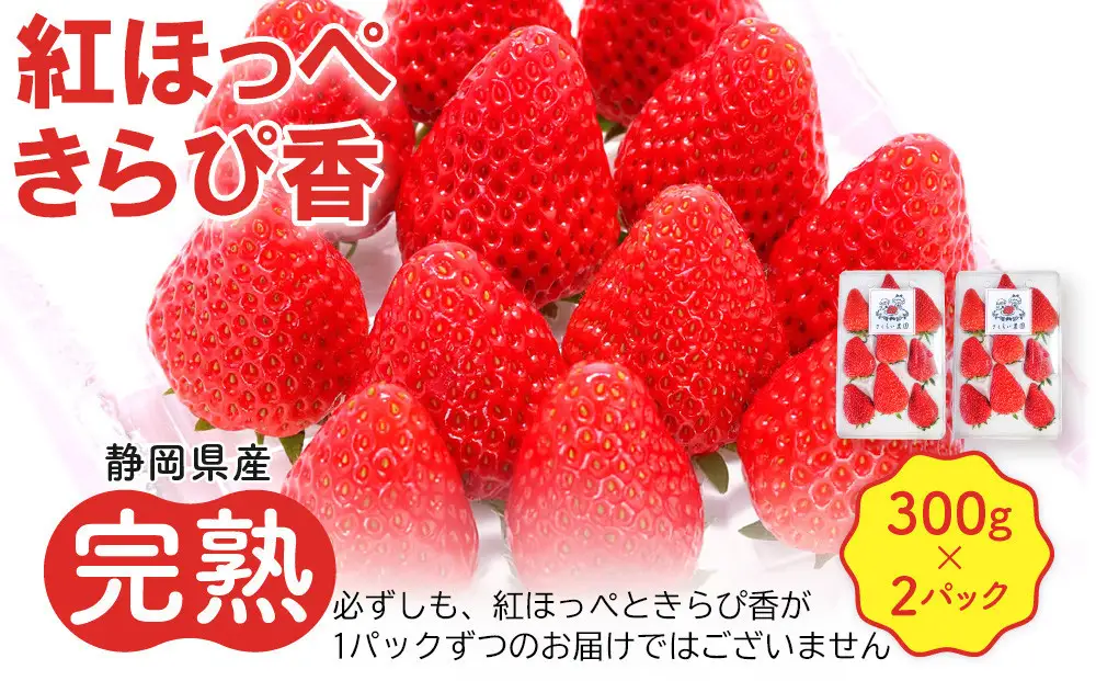先行受付【静岡県産いちご】完熟紅ほっぺ・きらぴ香2パックセット（300g×2パック）【2027年1月下旬以降発送予定】