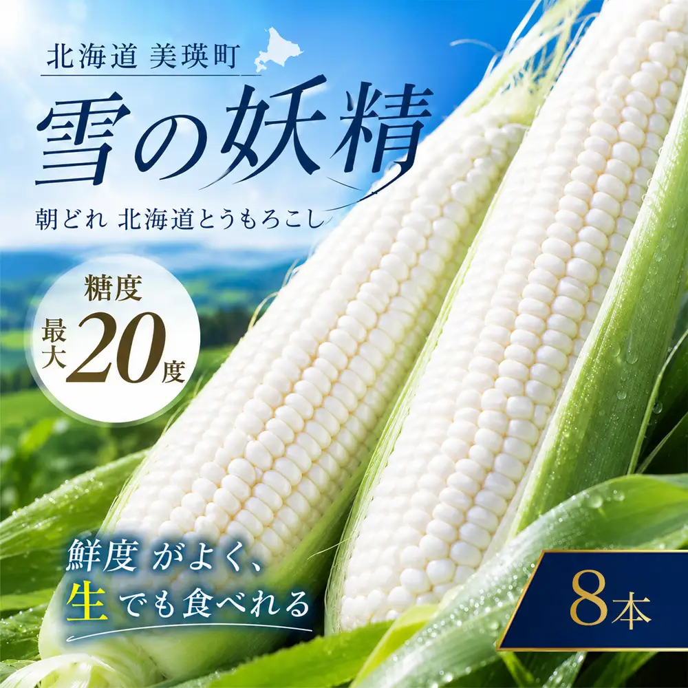 とうもろこし 8本 北海道 【令和9年産 先行予約】 雪の妖精 高糖度 とうもろこし
