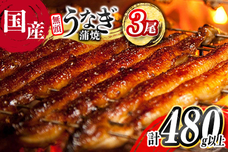 2026年9月配送 鰻楽 うなぎ蒲焼 3尾 C444-2609