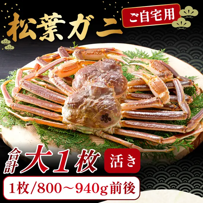 【活き】ご自宅用松葉ガニ　大　１枚【松葉ガニ 松葉がに 松葉蟹 まつばがに かに カニ 冷蔵 チルド ブランド ズワイガニ 活き 自宅用 冬 国産 季節限定 お取り寄せ 鳥取県 日吉津村 日本海】
