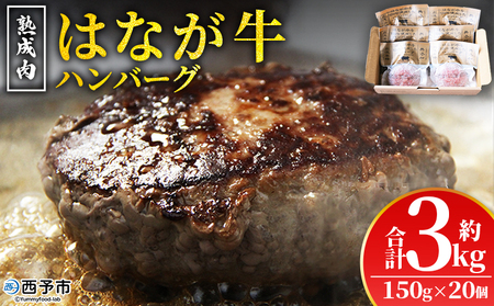 ＜熟成肉 はなが牛ハンバーグ 20個（1個150g）＞ 肉 お肉 牛肉 牛 ビーフ 牛100％ 肉加工品 お惣菜 洋食 おかず 弁当 ランチ ディナー 国産 小分け 個包装 簡単調理 特産品 ゆうぼく 愛媛県 西予市 【冷凍】『2か月以内に順次出荷予定』UYB0027