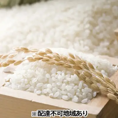 米 令和8年度産 きぬむすめ 精米 5kg 岡山県 赤磐市産 お米 